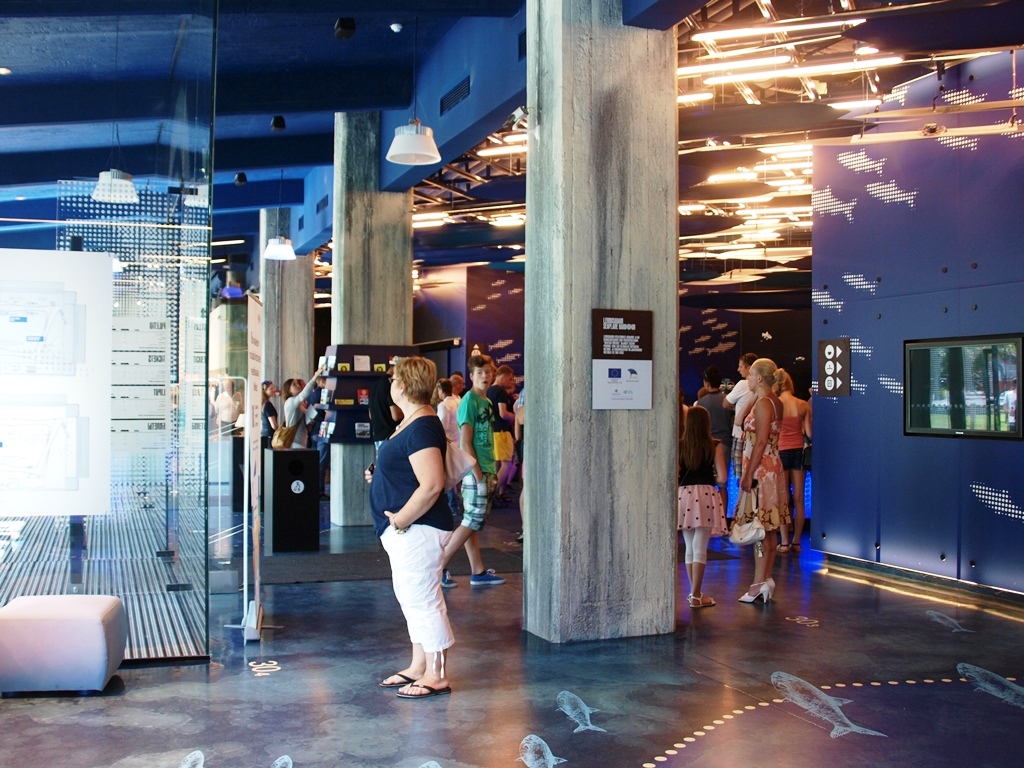 P7077461.JPG