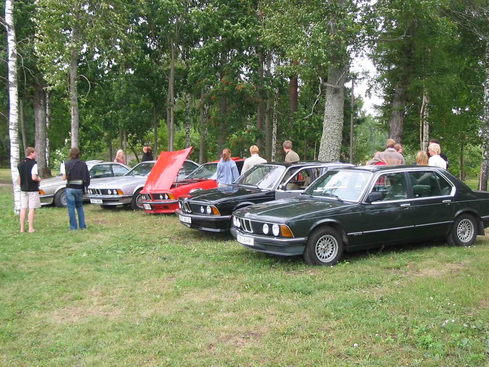 IMG_5186.jpg
