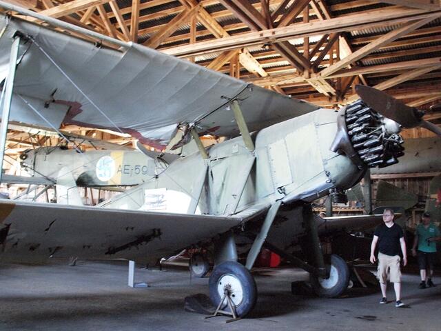 P7288051.JPG