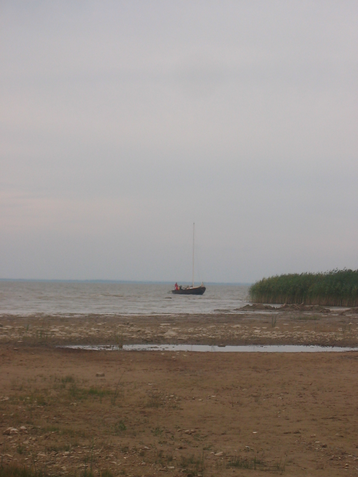 IMG_5210.jpg