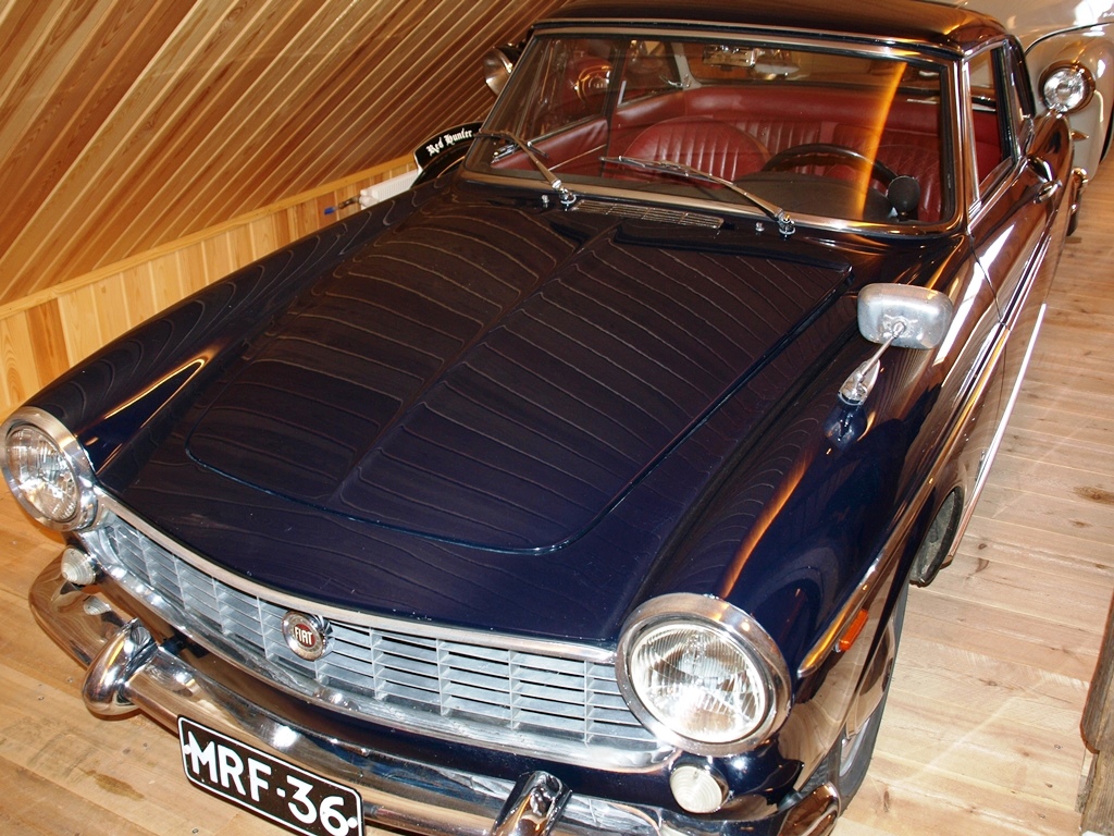 P7288145.JPG