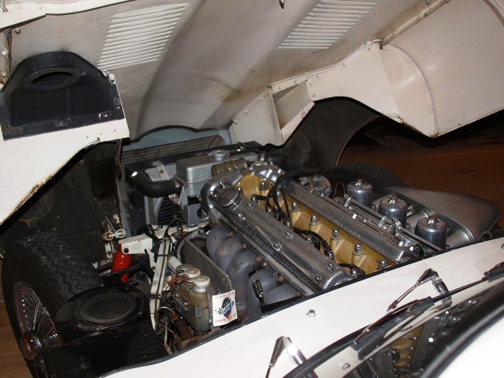 P7288160.JPG