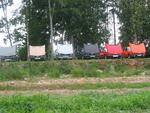IMG_5217.jpg