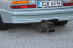 Rajap&auml;ev 2013 248.jpg