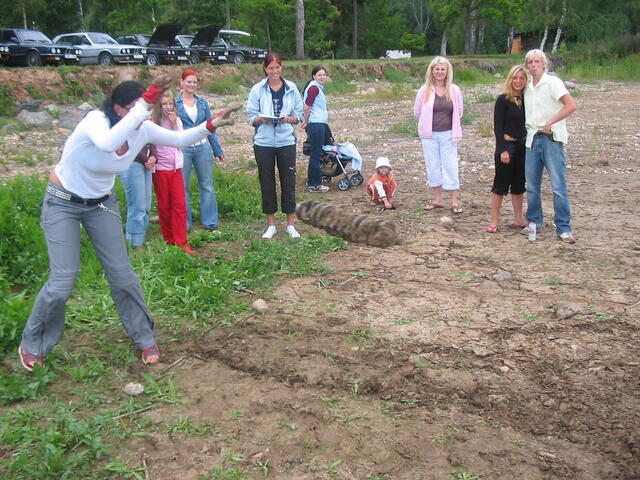 IMG_5260.jpg