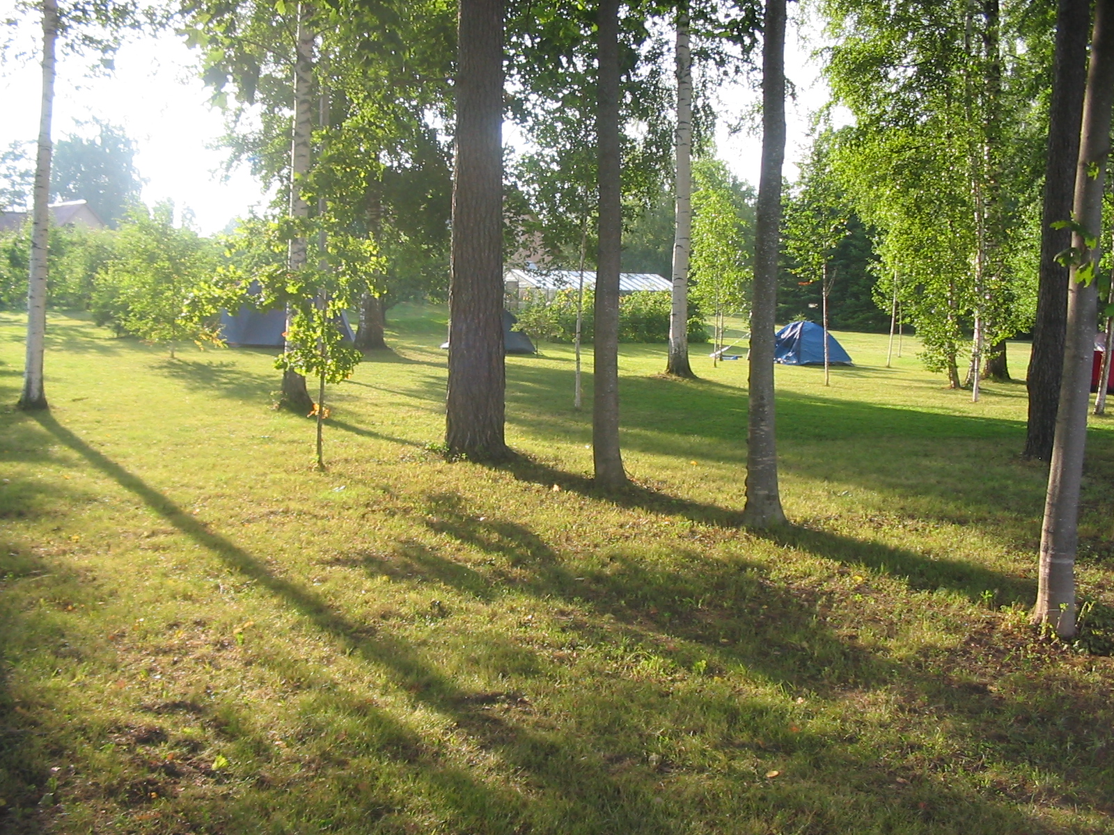 IMG_5272.jpg