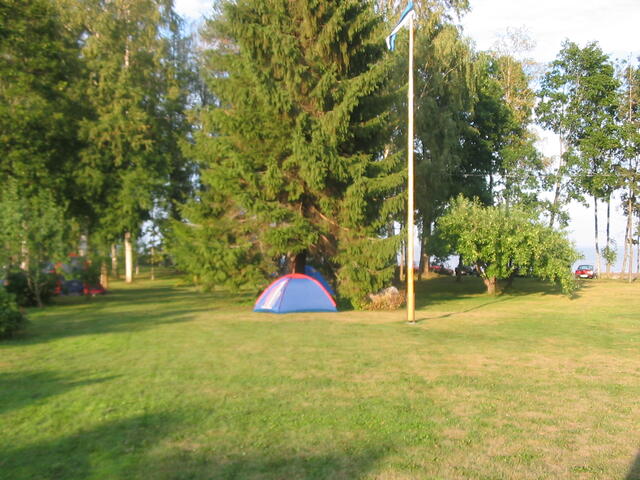 IMG_5285.jpg