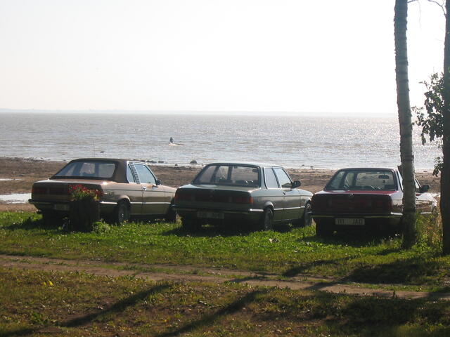 IMG_5302.jpg