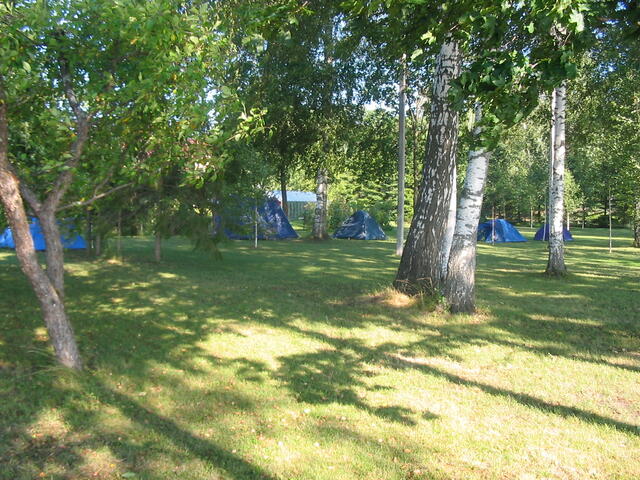 IMG_5311.jpg