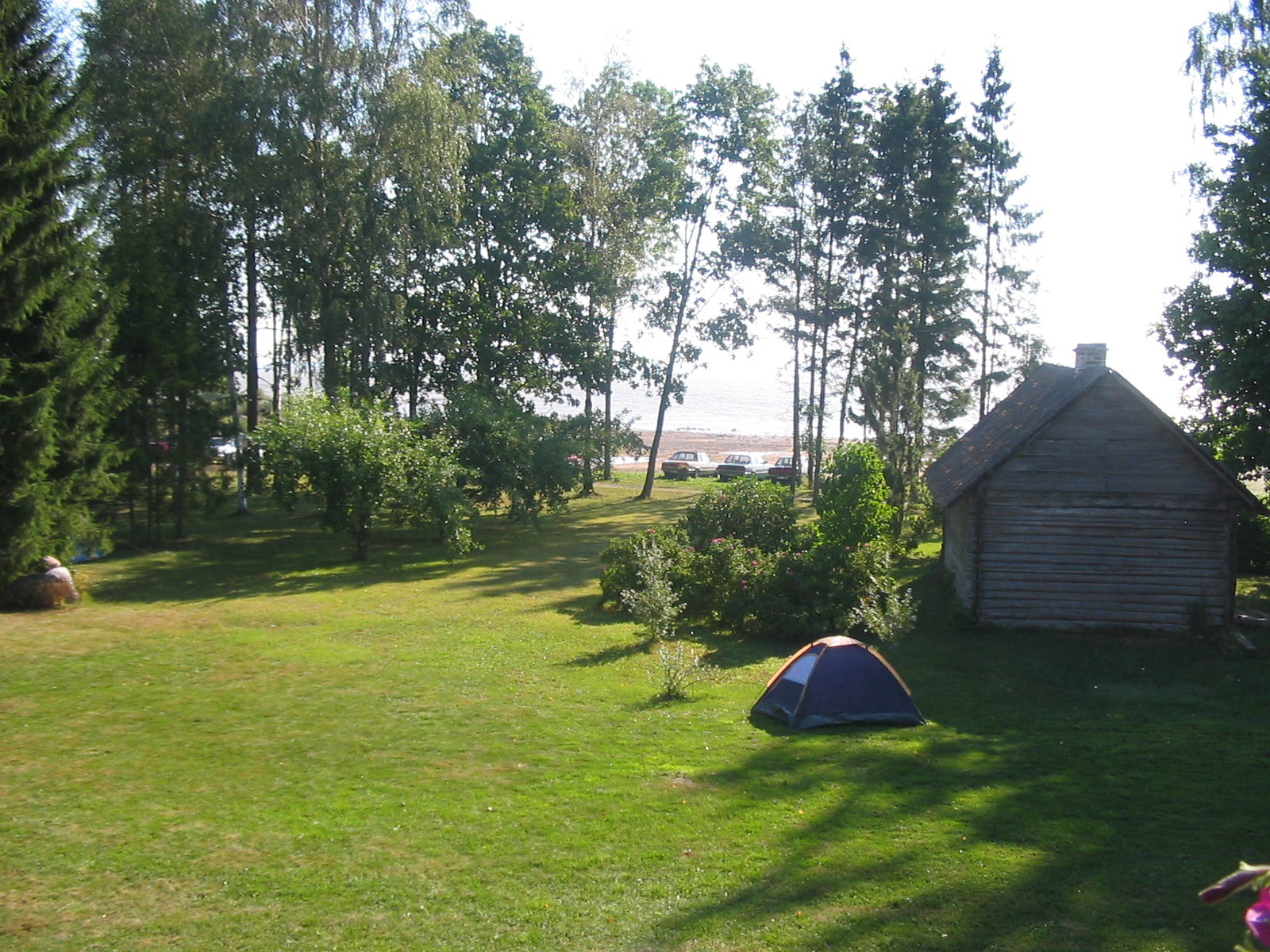 IMG_5313.jpg