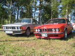 IMG_5321.jpg