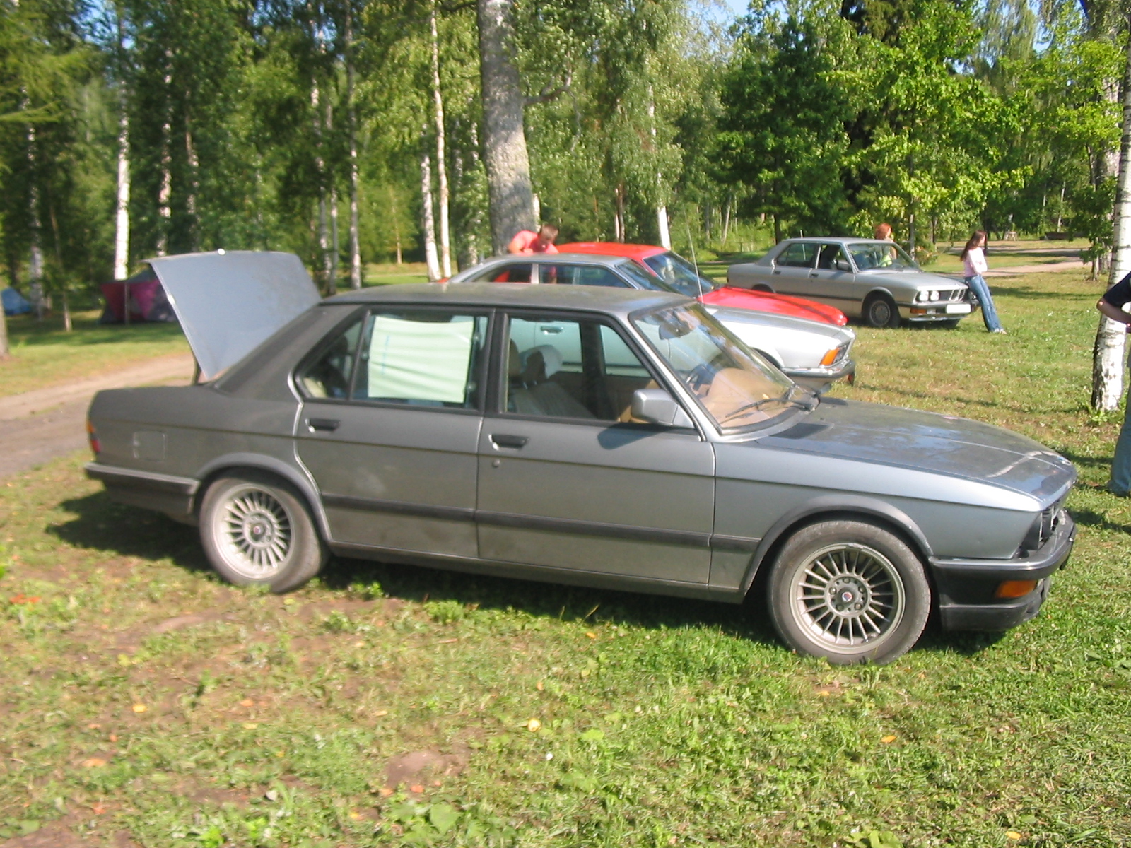 IMG_5322.jpg