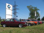 IMG_5355.jpg