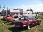 IMG_5356.jpg