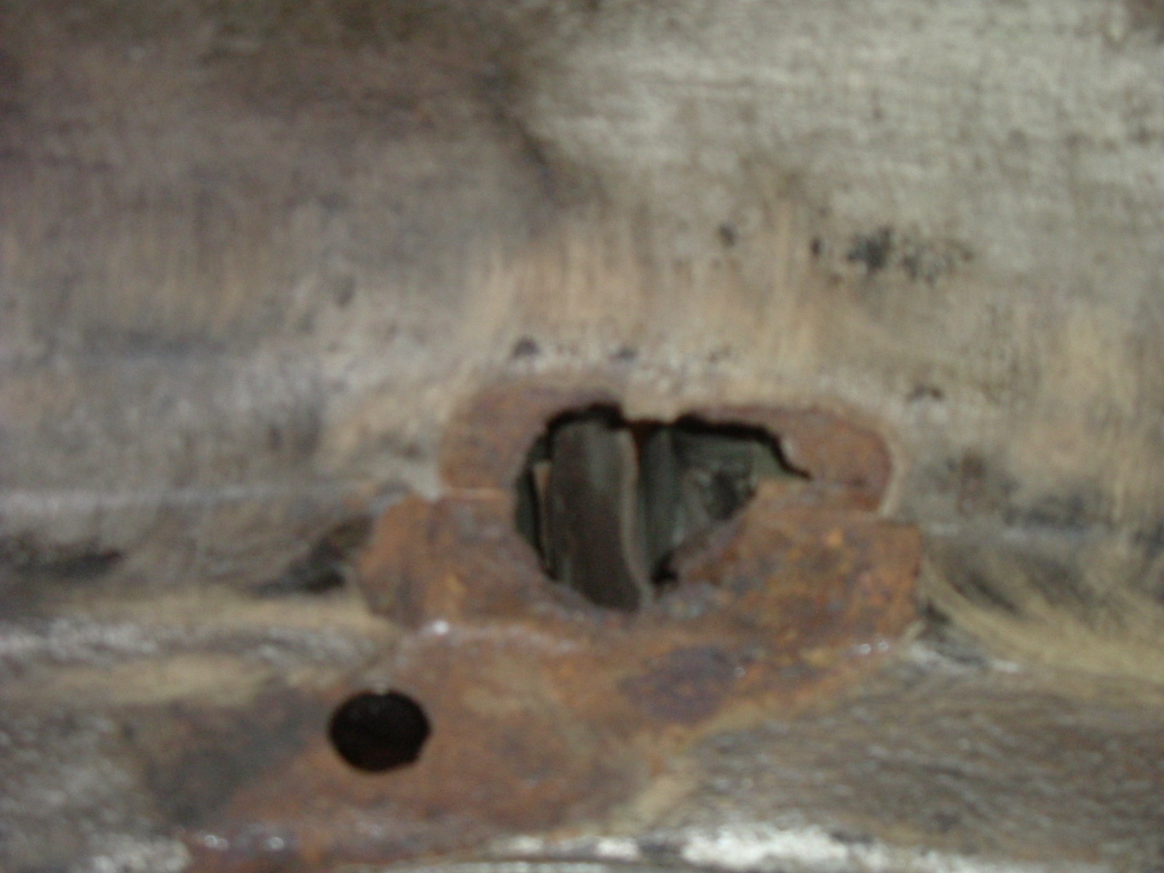 DSCF0427.JPG