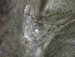 DSCF0429.JPG