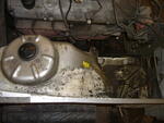 DSCF0486.JPG