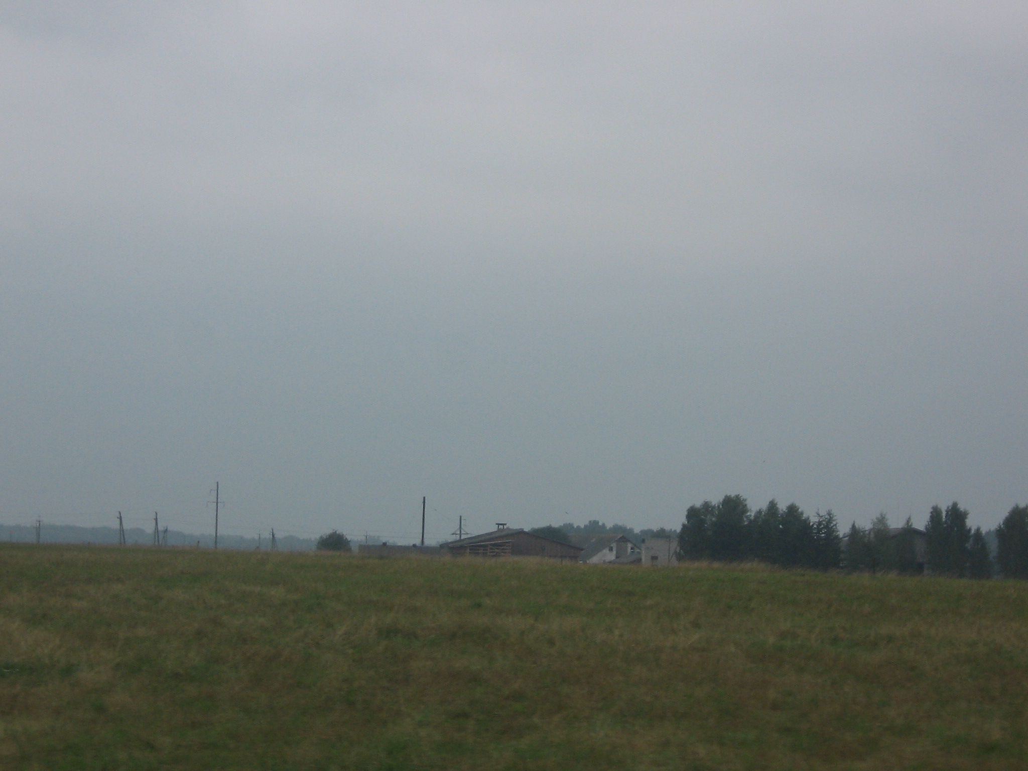 Haid2006 (14).jpg