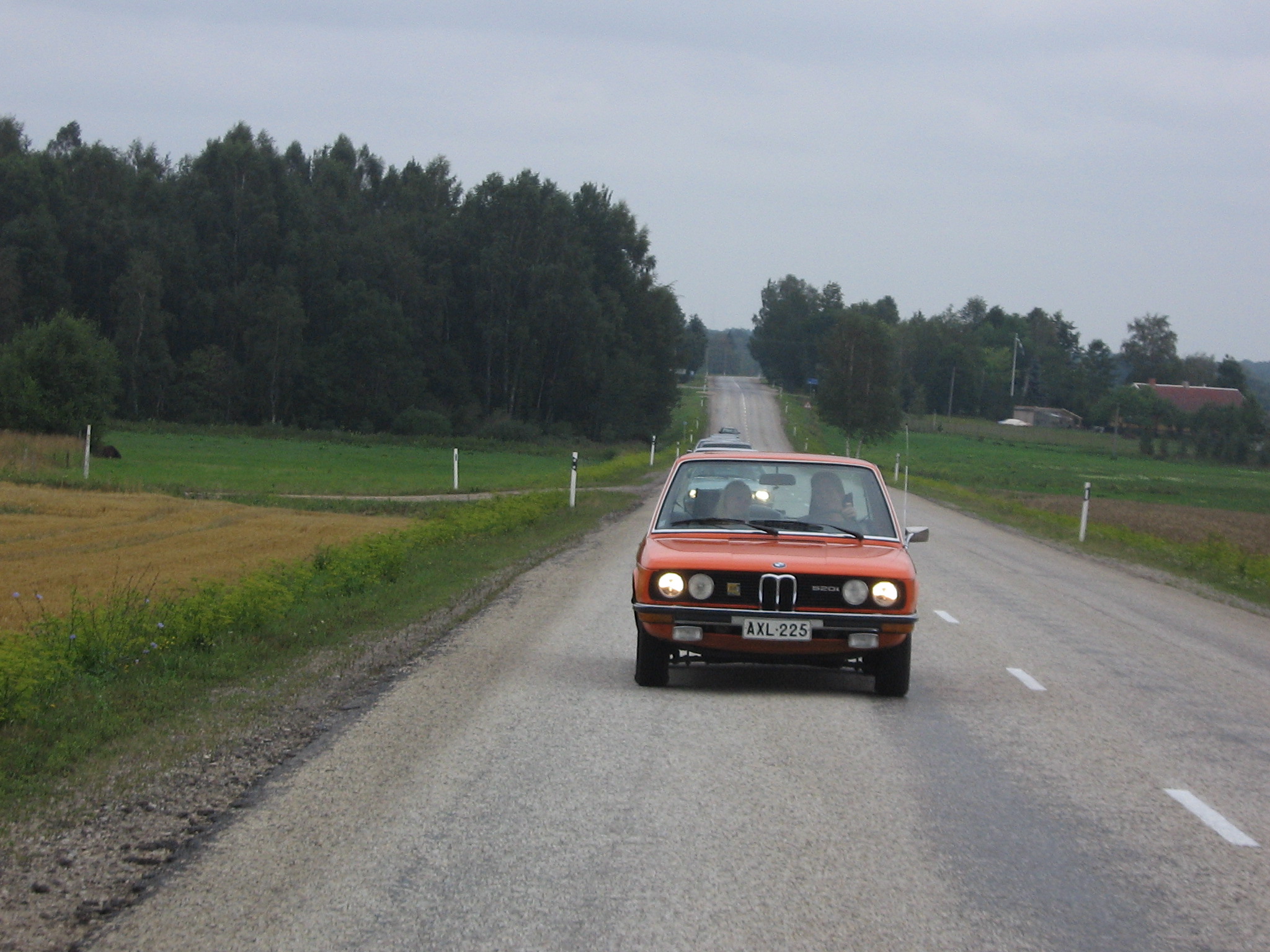 Haid2006 (21).jpg