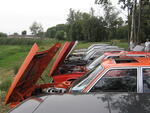 Haid2006 (47).jpg