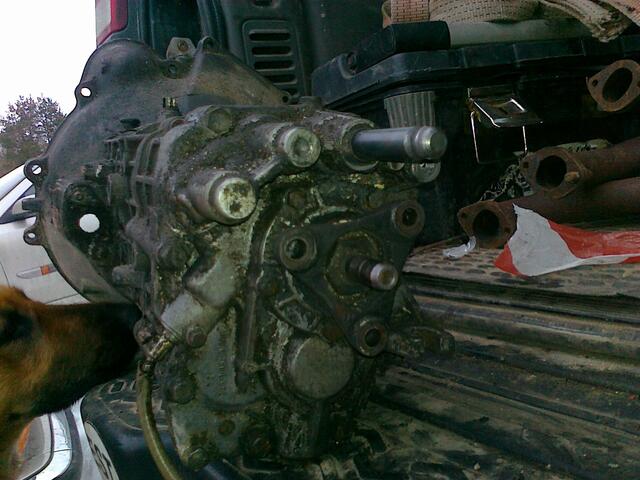 21032010125.jpg