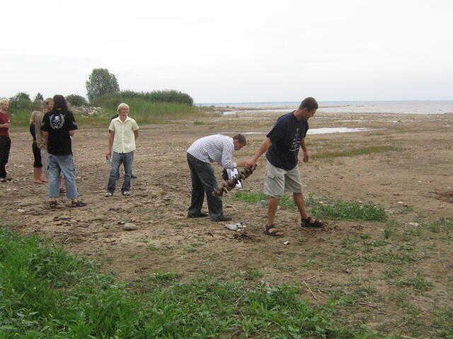 Haid2006 (55).jpg