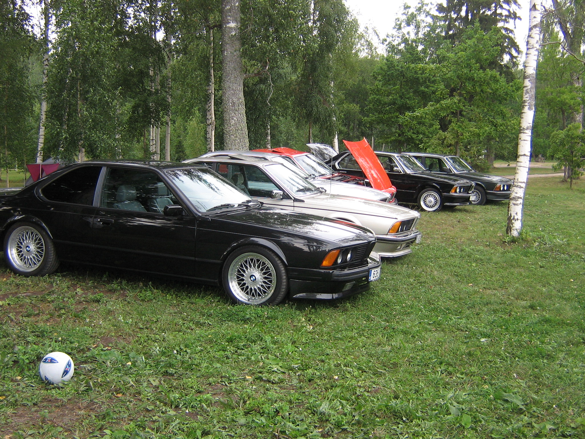 Haid2006 (63).jpg