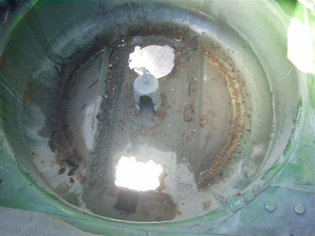 DSC03933 (Medium)