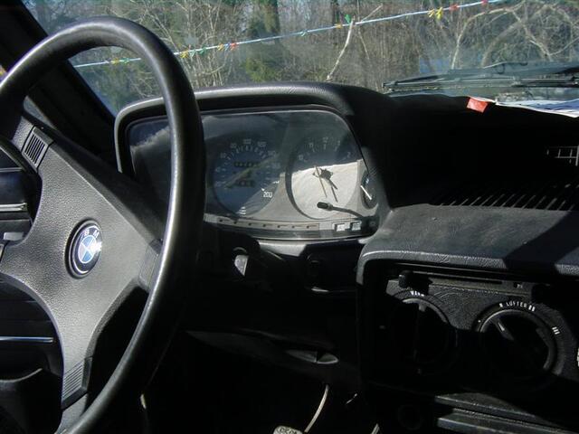 DSC03938 (Medium)
