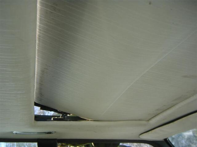 DSC03939 (Medium)