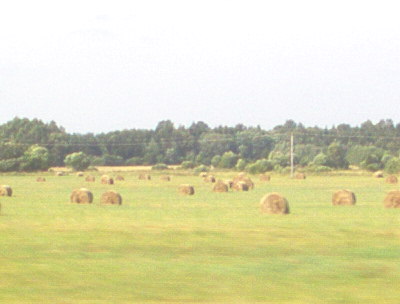 lammutatud 022