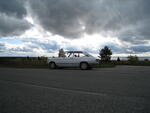 teel 004.jpg