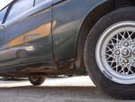 SUC51870.JPG
