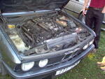 lammutatud 146
