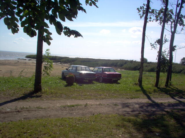 lammutatud 195