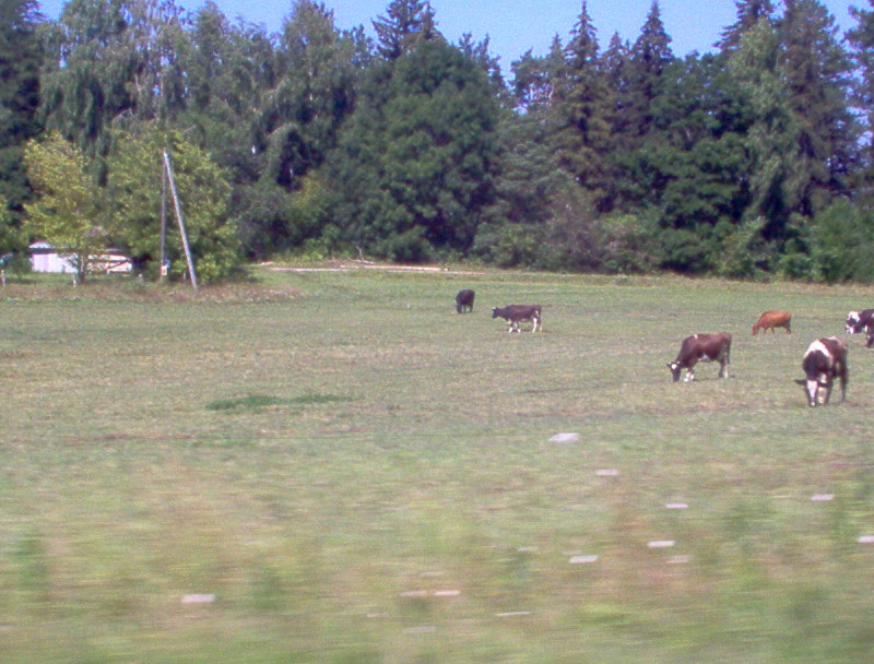 lammutatud 210