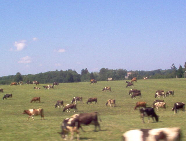 lammutatud 211