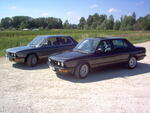 lammutatud 217