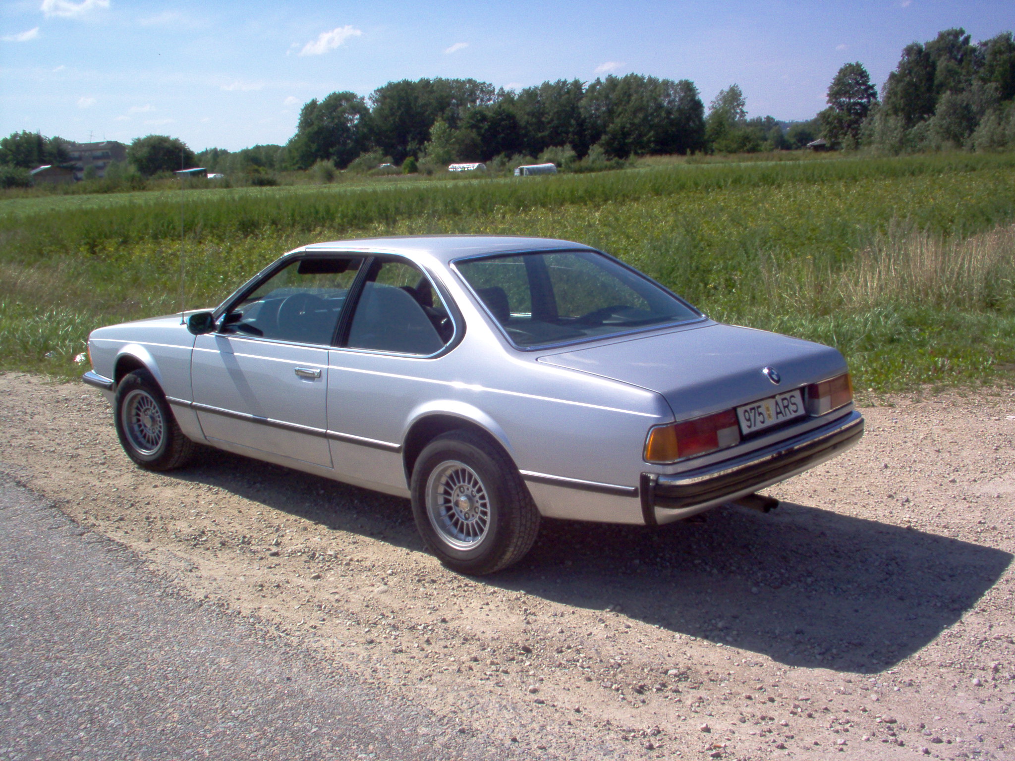 lammutatud 219