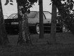 S6000388.JPG