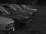 S6000390.JPG