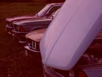 S6000391.JPG