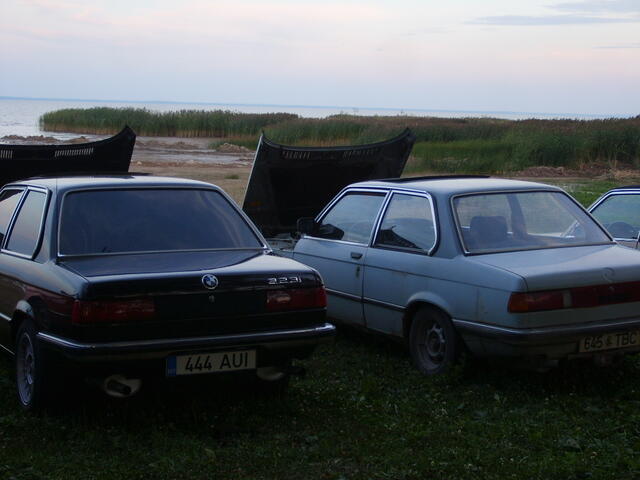 S6000394.JPG