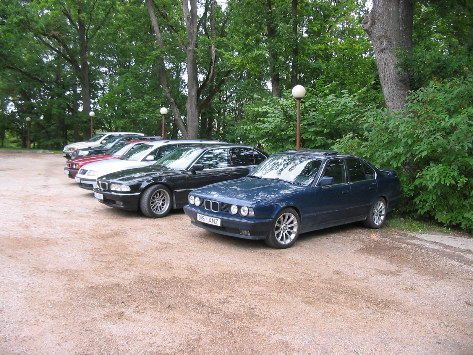 IMG_5704.jpg