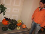 IMG_5714.jpg