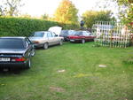 IMG_5904.jpg