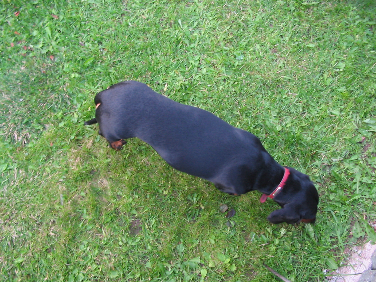 IMG_5927.jpg