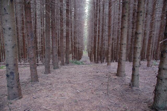 DSC_8214.jpg