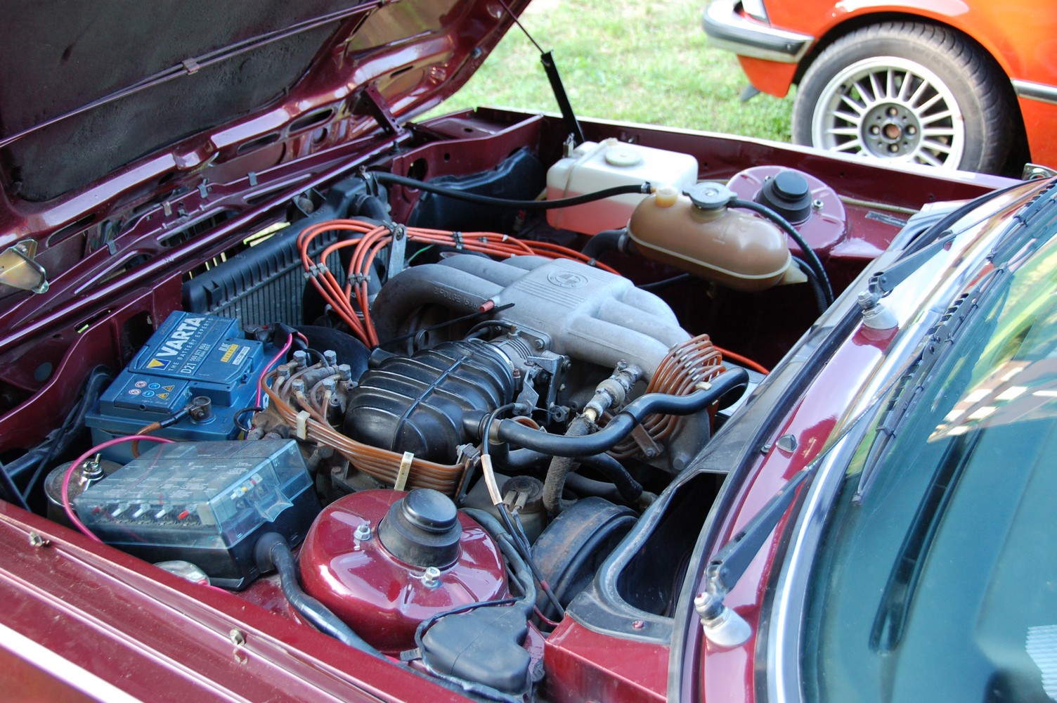 DSC_8222.jpg