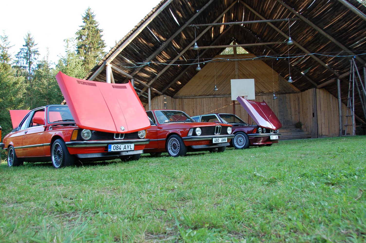 DSC_8237.jpg